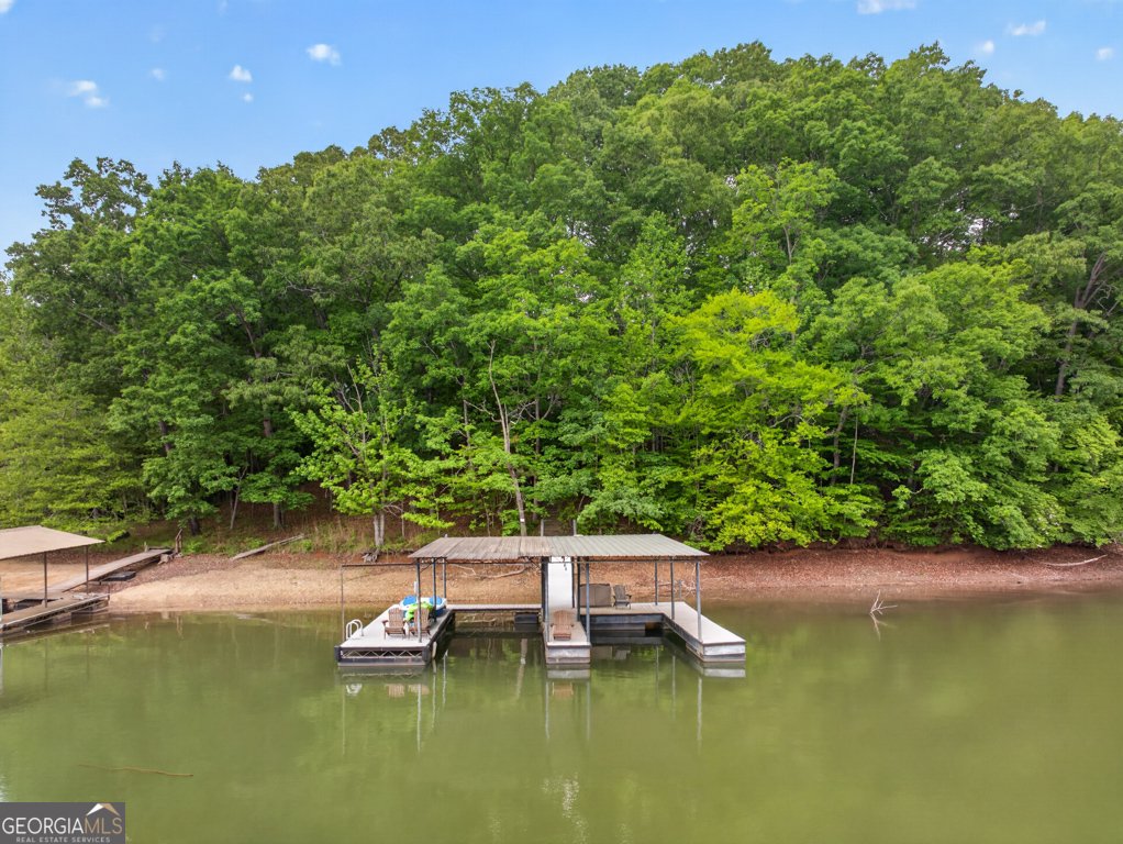 3327 Hickory Point Gainesville - Photo 65