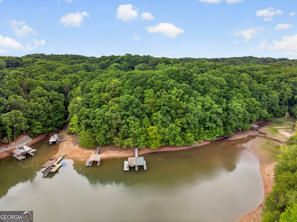 3327 Hickory Point Gainesville - Photo 66