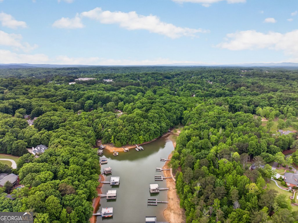 3327 Hickory Point Gainesville - Photo 67