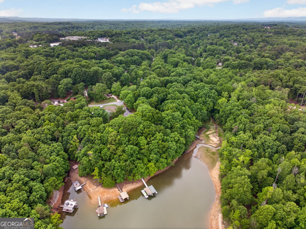3327 Hickory Point Gainesville - Photo 68
