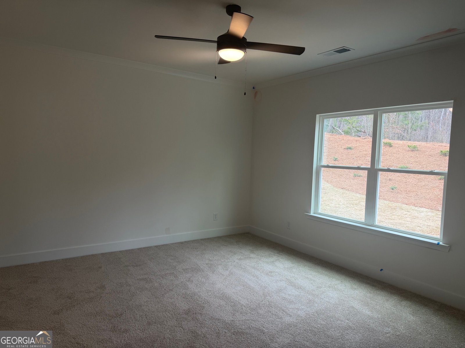 214 Thunder Valley Dawsonville - Photo 13
