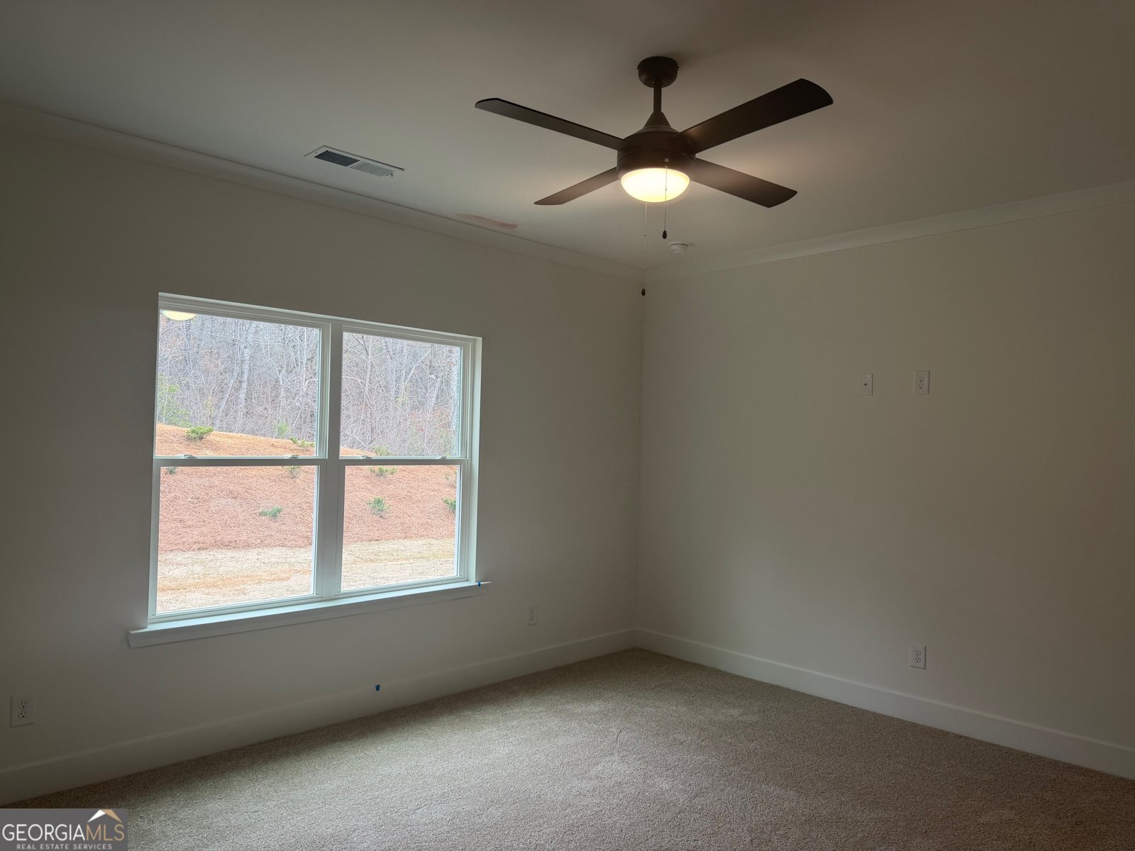 214 Thunder Valley Dawsonville - Photo 14