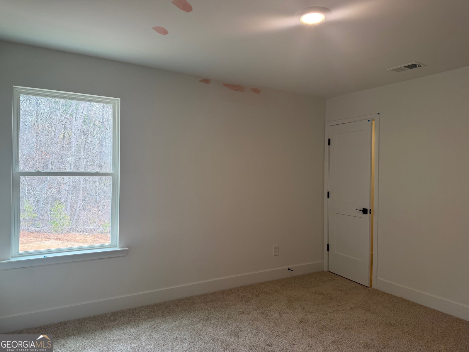 214 Thunder Valley Dawsonville - Photo 30