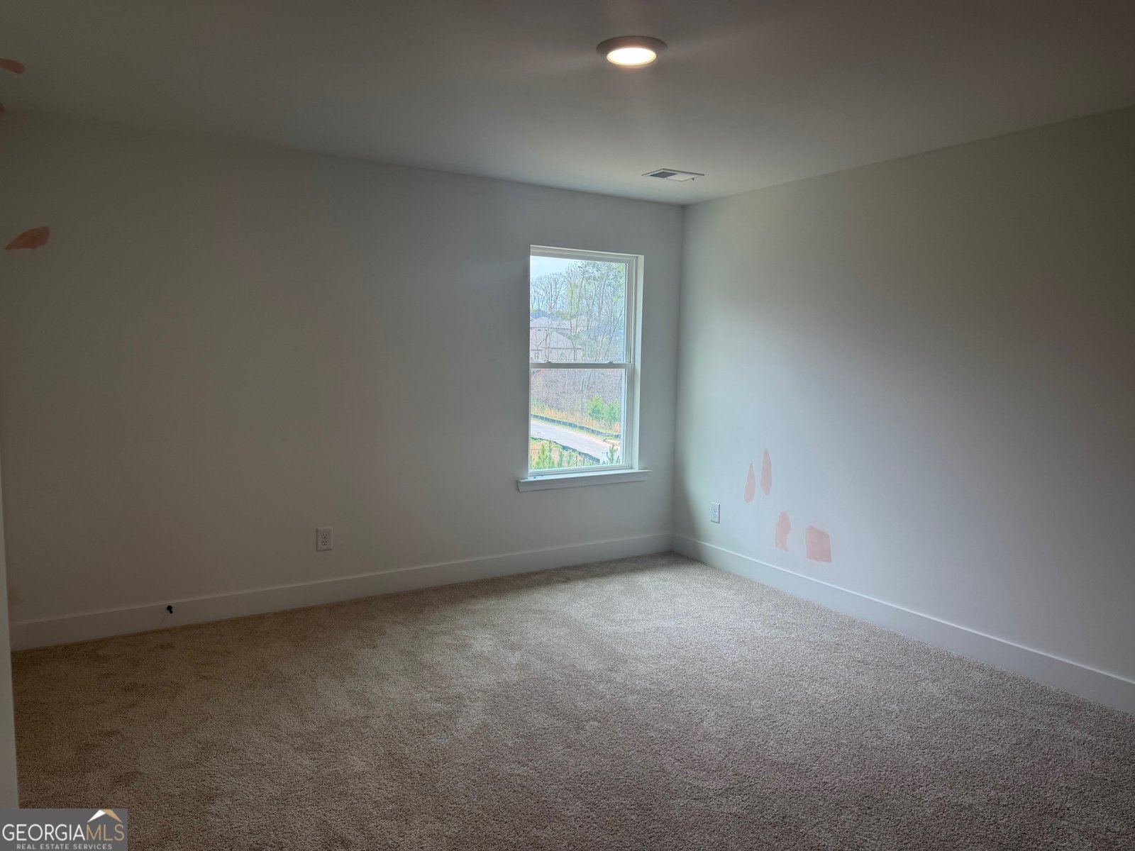 214 Thunder Valley Dawsonville - Photo 32