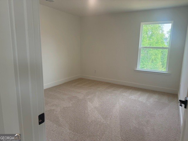 214 Thunder Valley Dawsonville - Photo 51