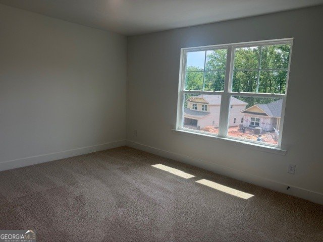 214 Thunder Valley Dawsonville - Photo 53