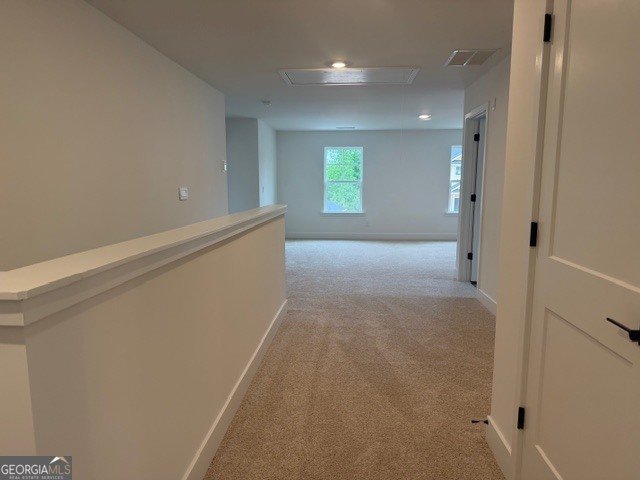 214 Thunder Valley Dawsonville - Photo 56