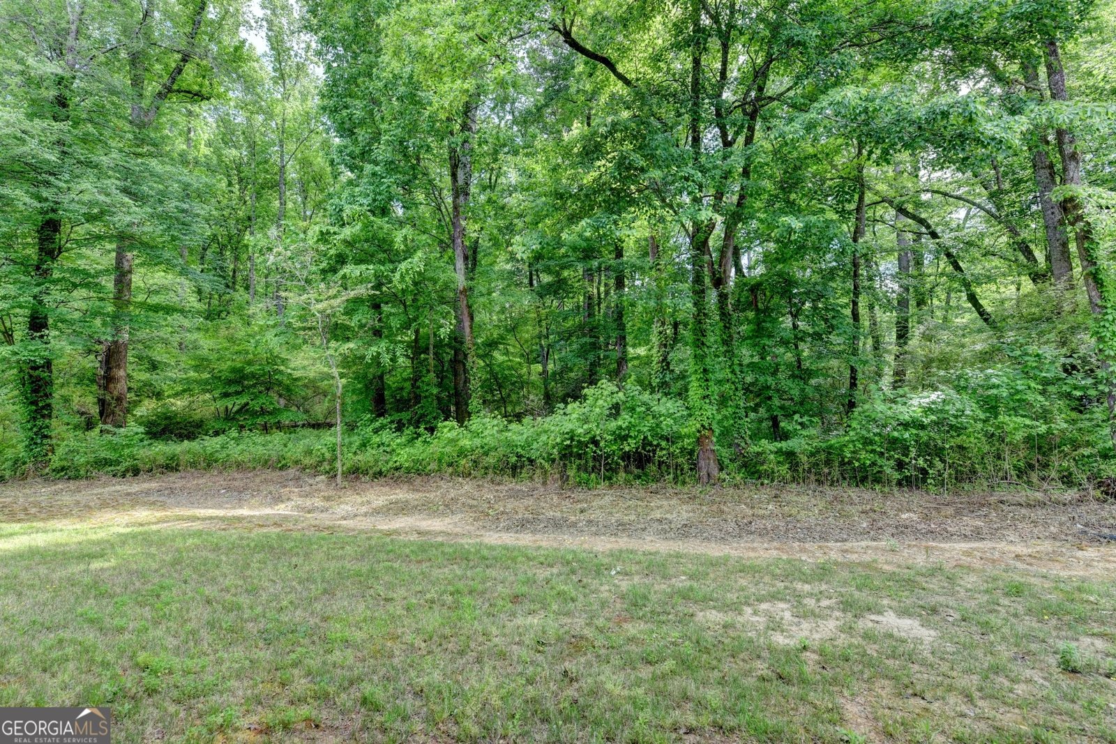 1370 Rumson Lane Alpharetta - Photo 102
