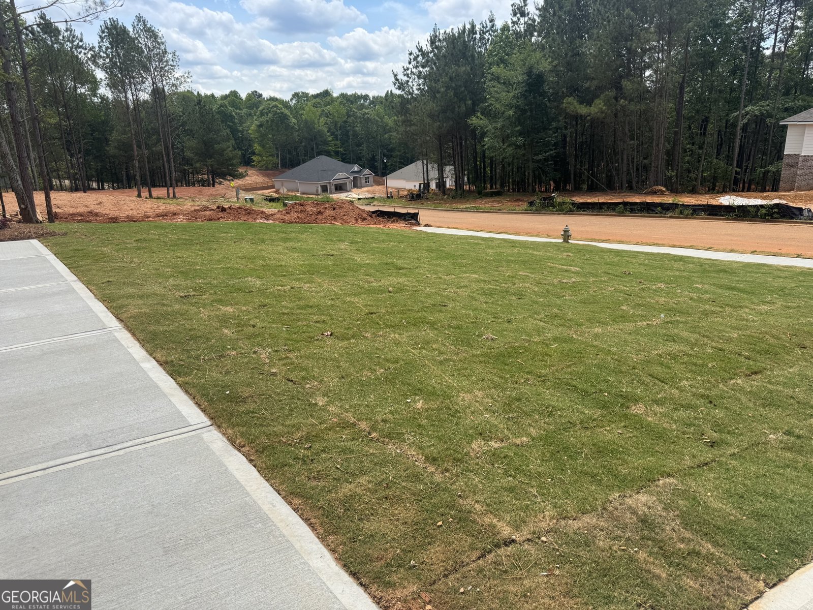 181 Blackberry Court Pendergrass - Photo 38