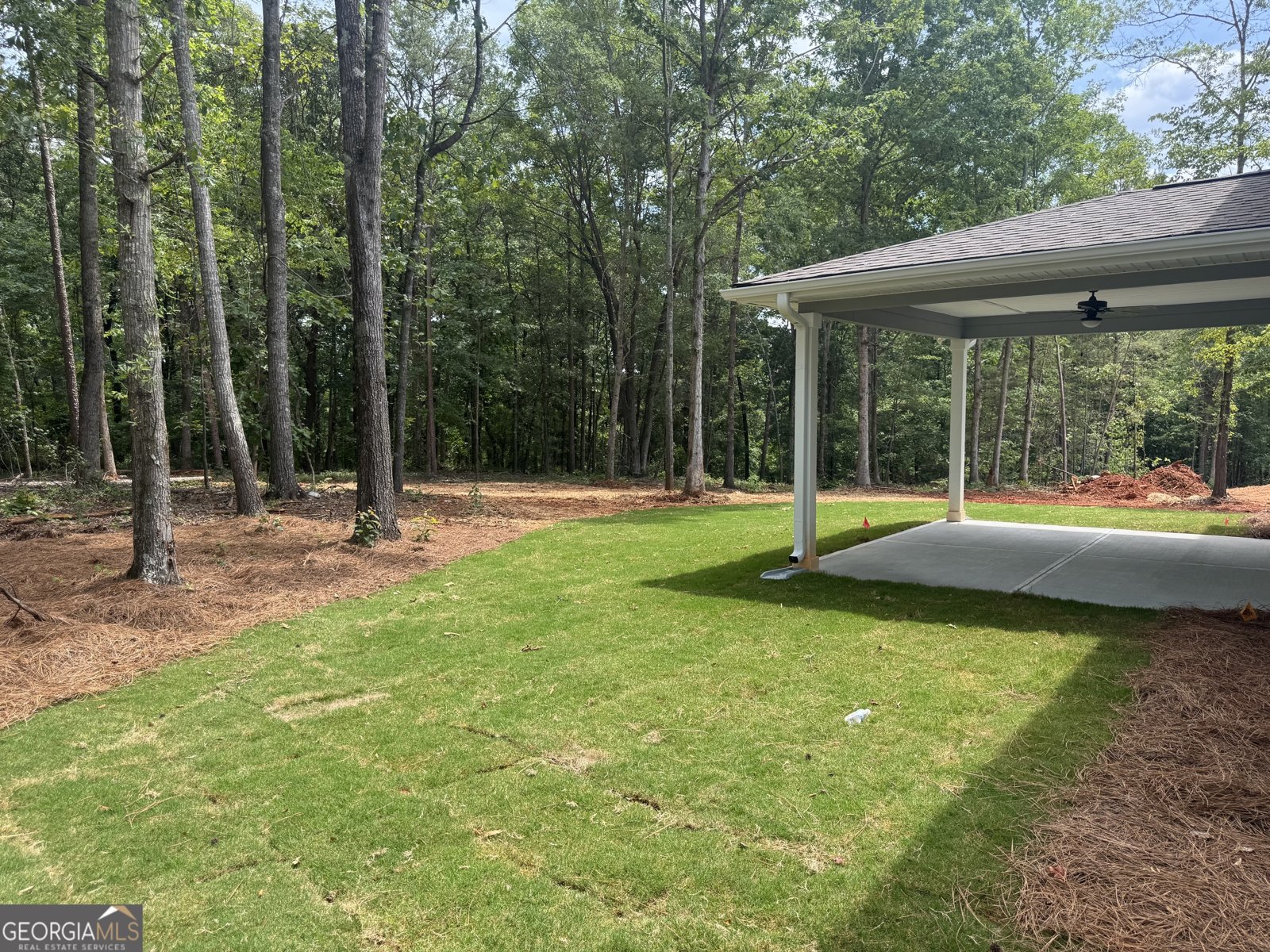 181 Blackberry Court Pendergrass - Photo 40