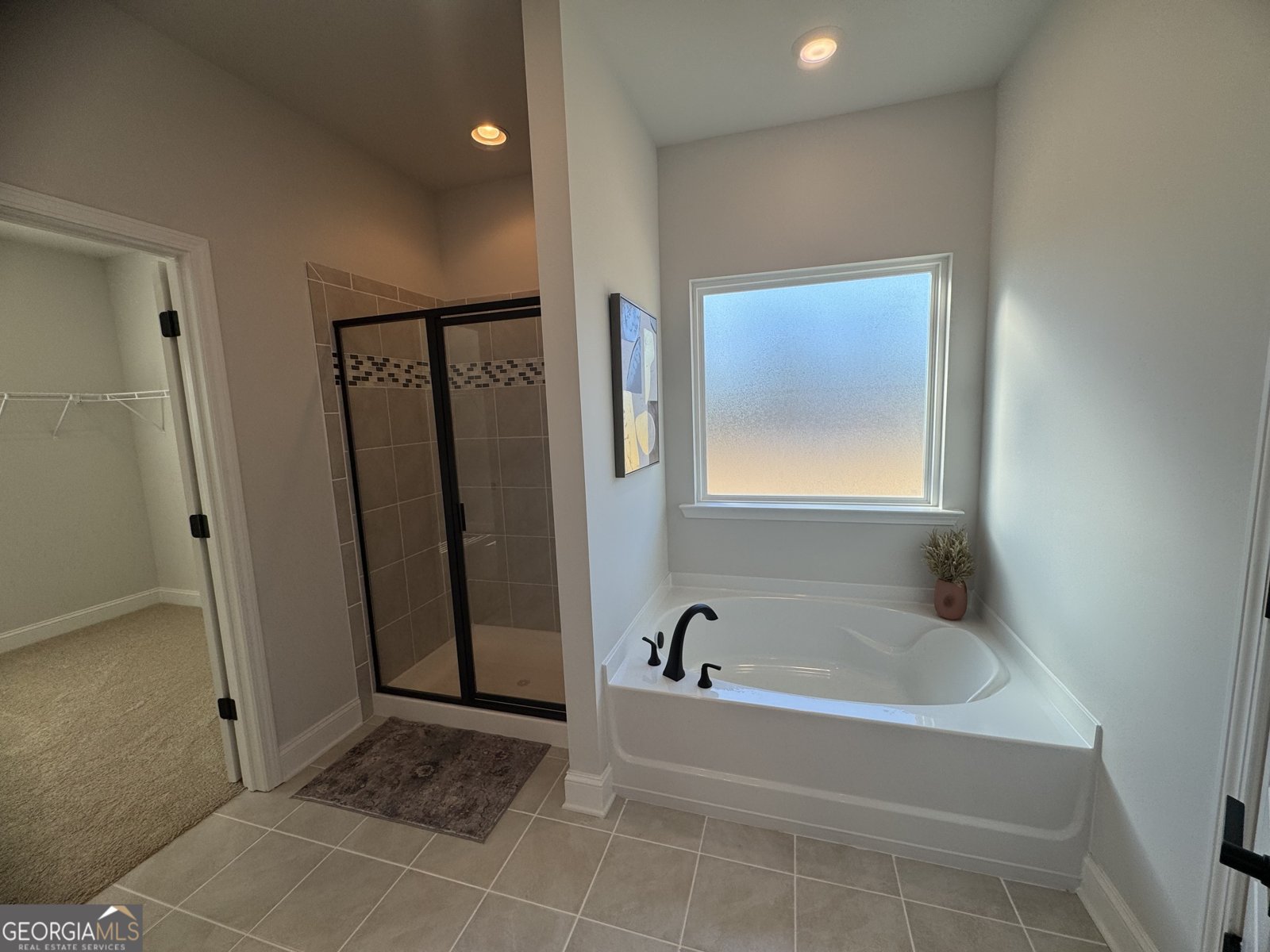 259 Blackberry Court Pendergrass - Photo 17