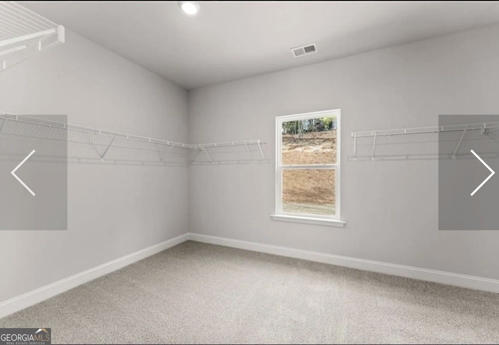 259 Blackberry Court Pendergrass - Photo 21