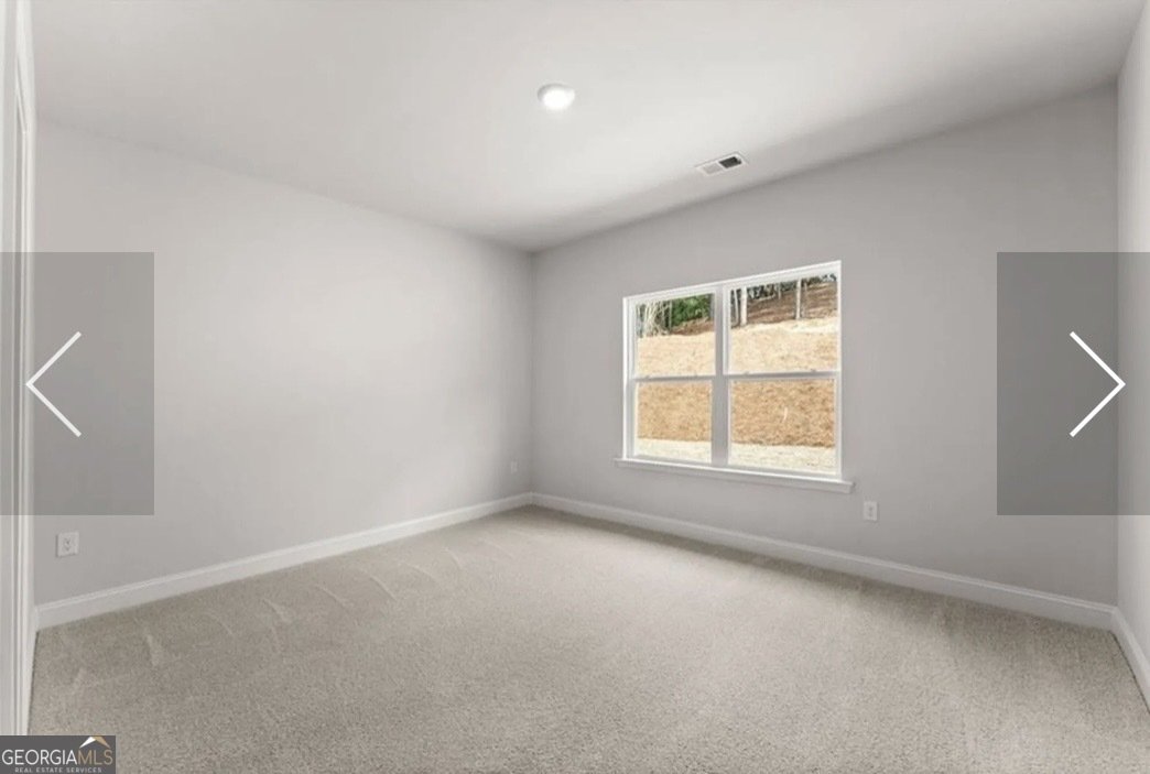 259 Blackberry Court Pendergrass - Photo 22