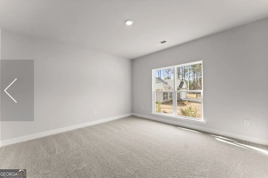 259 Blackberry Court Pendergrass - Photo 24