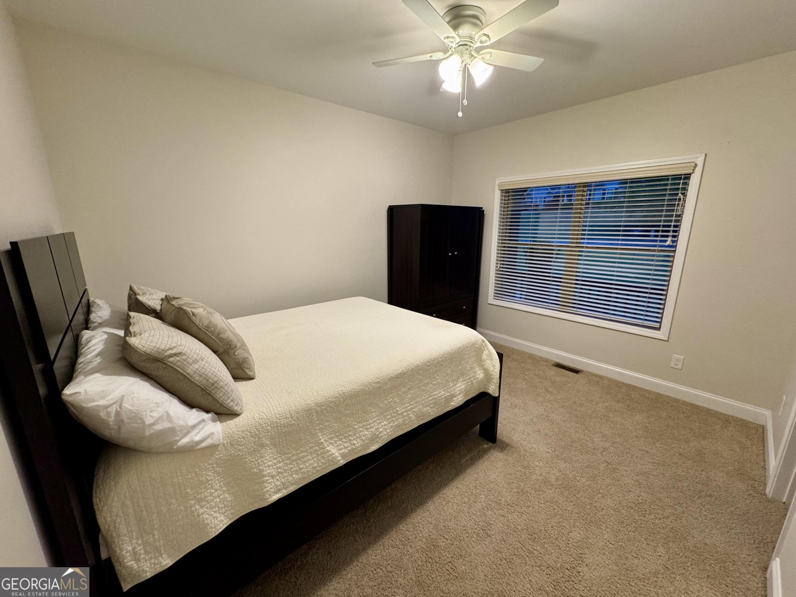 366 Dawson Manor Drive Dawsonville - Photo 16