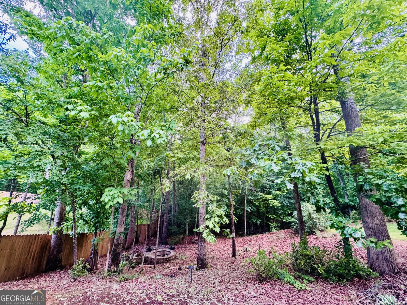 366 Dawson Manor Drive Dawsonville - Photo 25