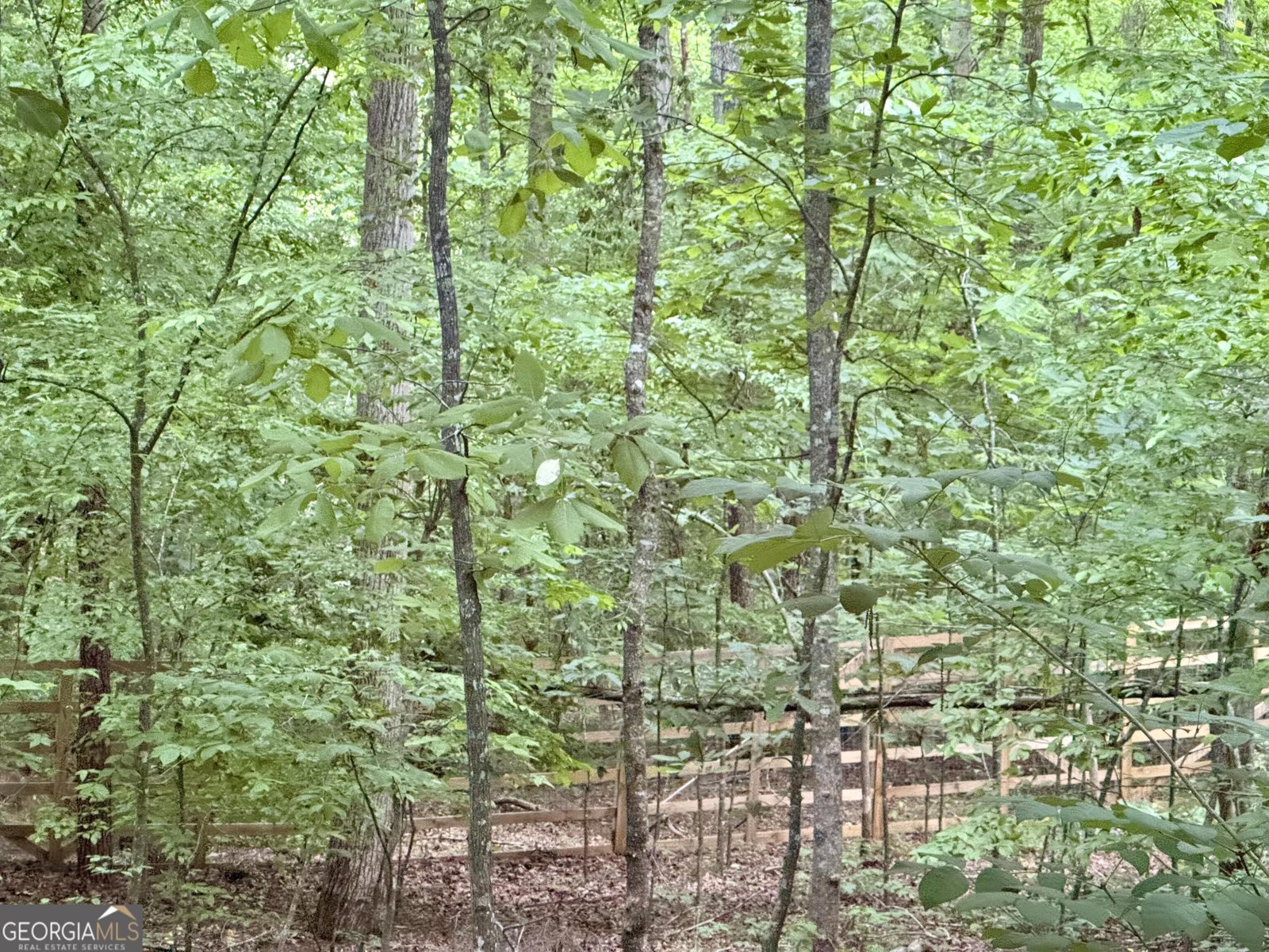 366 Dawson Manor Drive Dawsonville - Photo 27