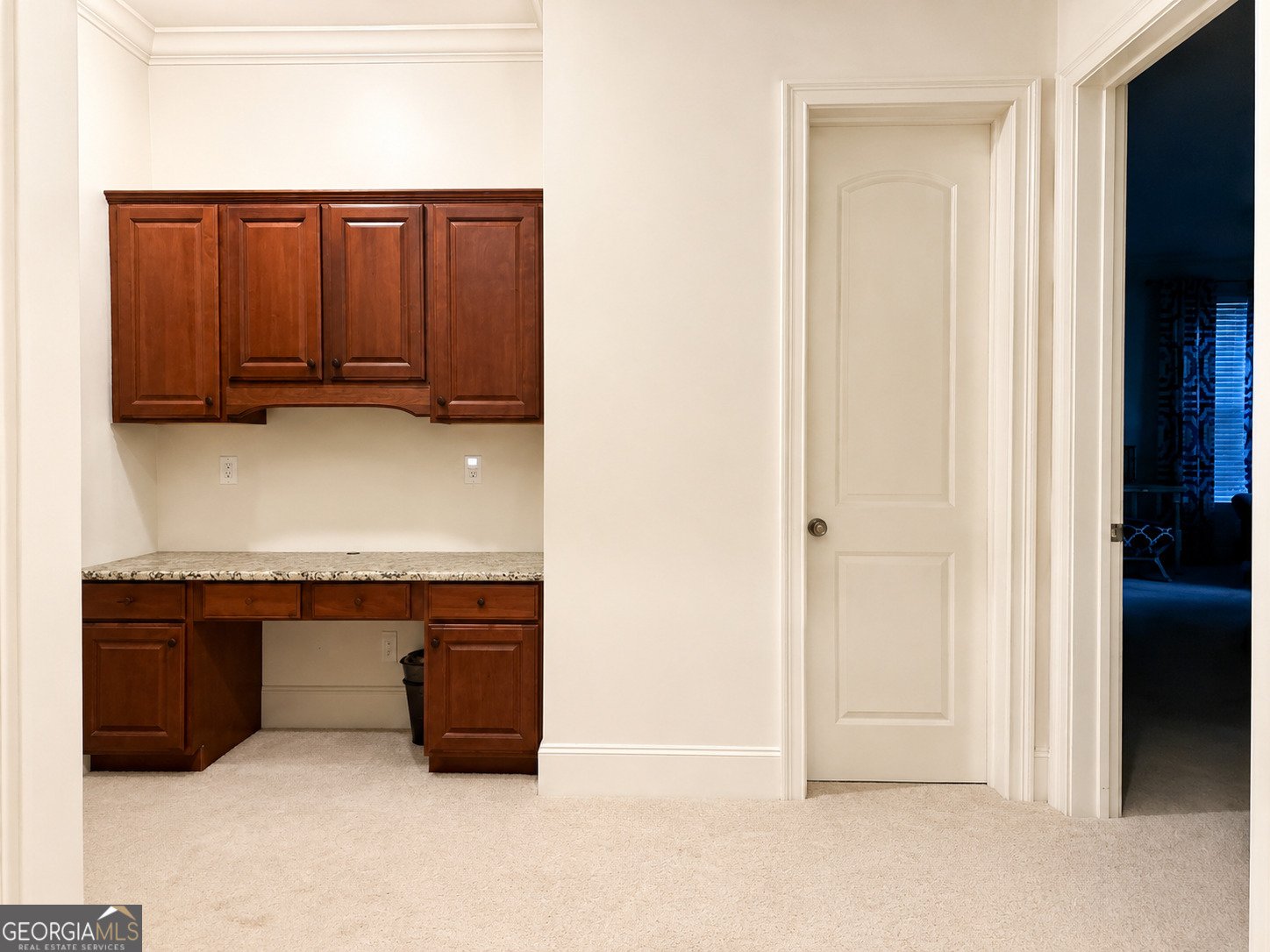 1305 Layor Court Peachtree City - Photo 46