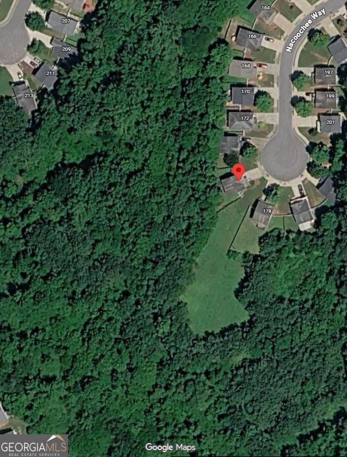 176 Nacoochee Way Canton - Photo 47