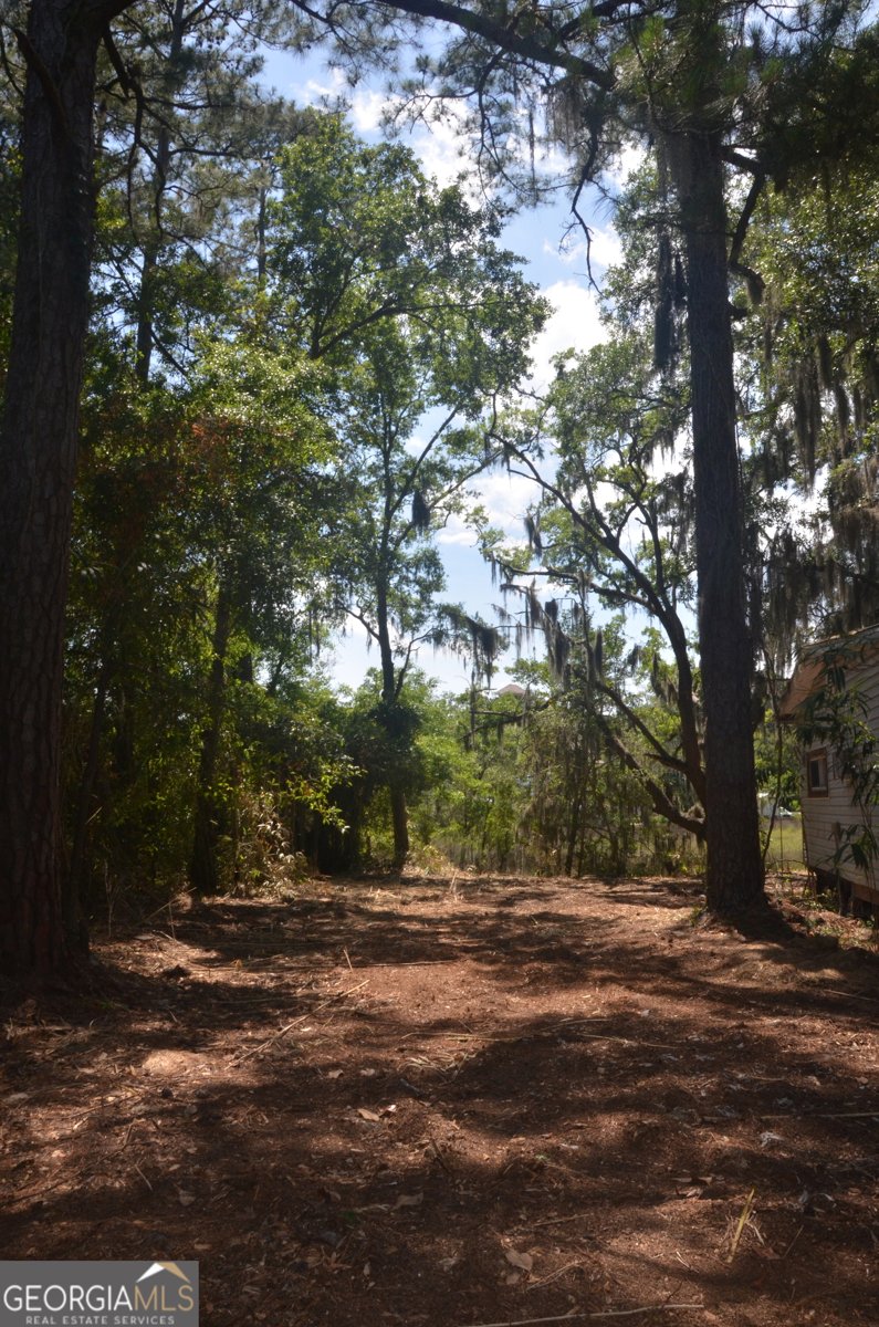 569 Crooked River Drive Woodbine - Photo 27