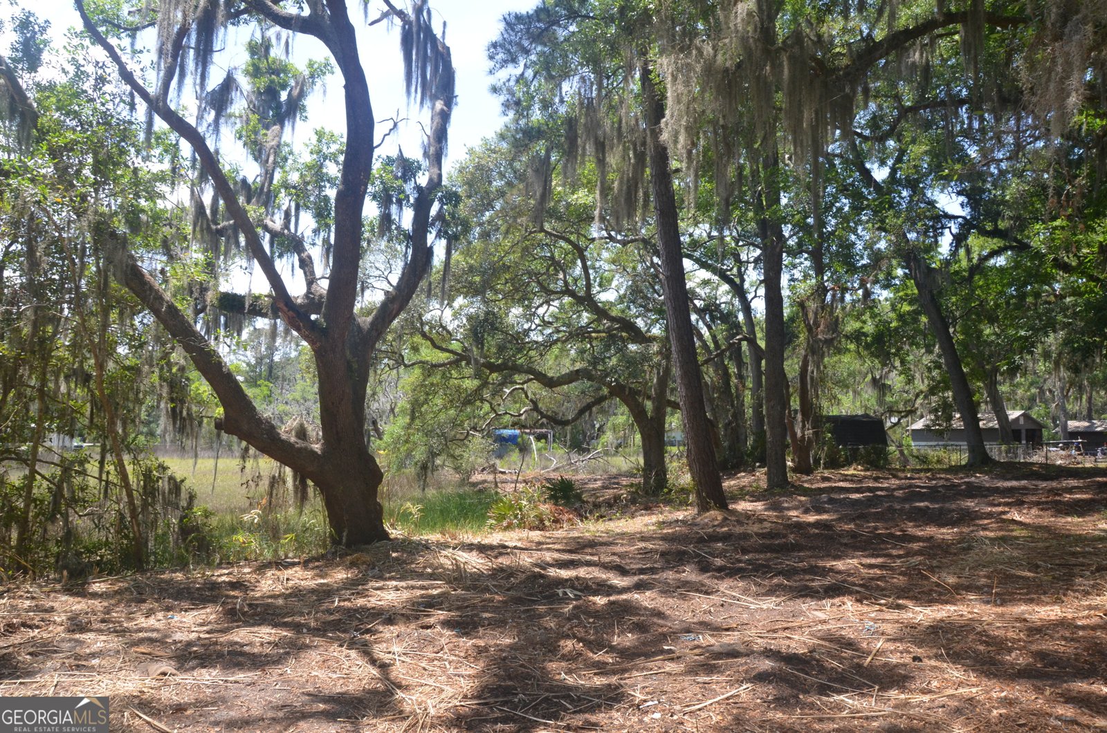 569 Crooked River Drive Woodbine - Photo 28