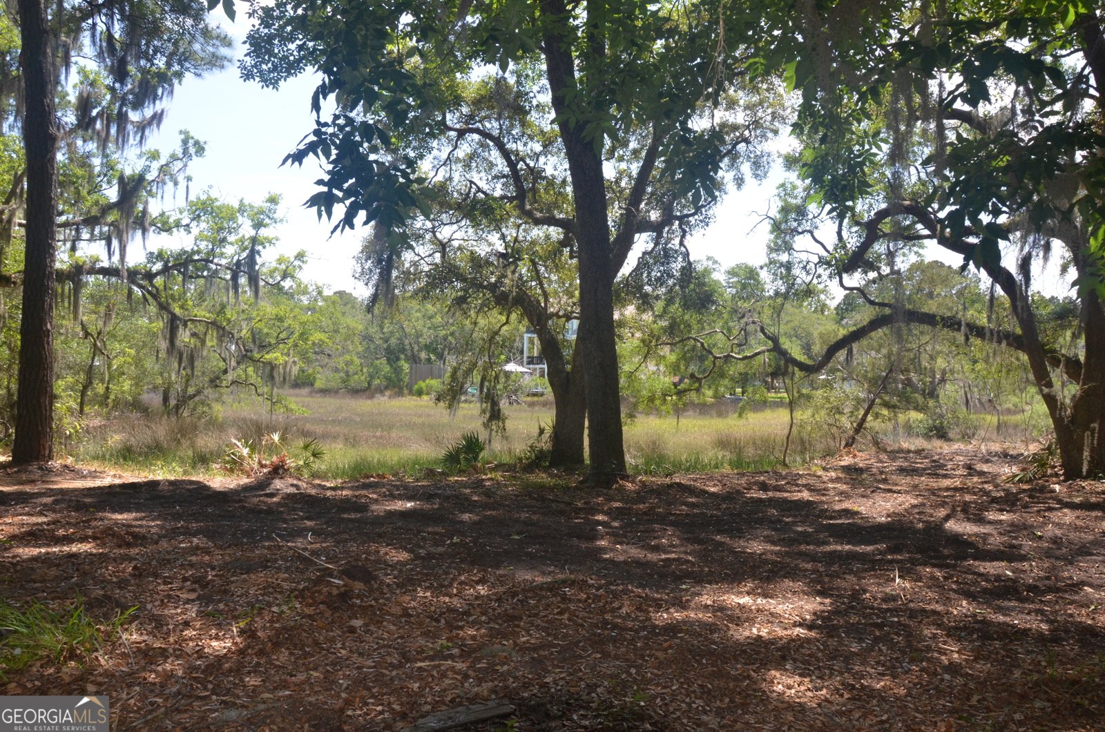 569 Crooked River Drive Woodbine - Photo 29