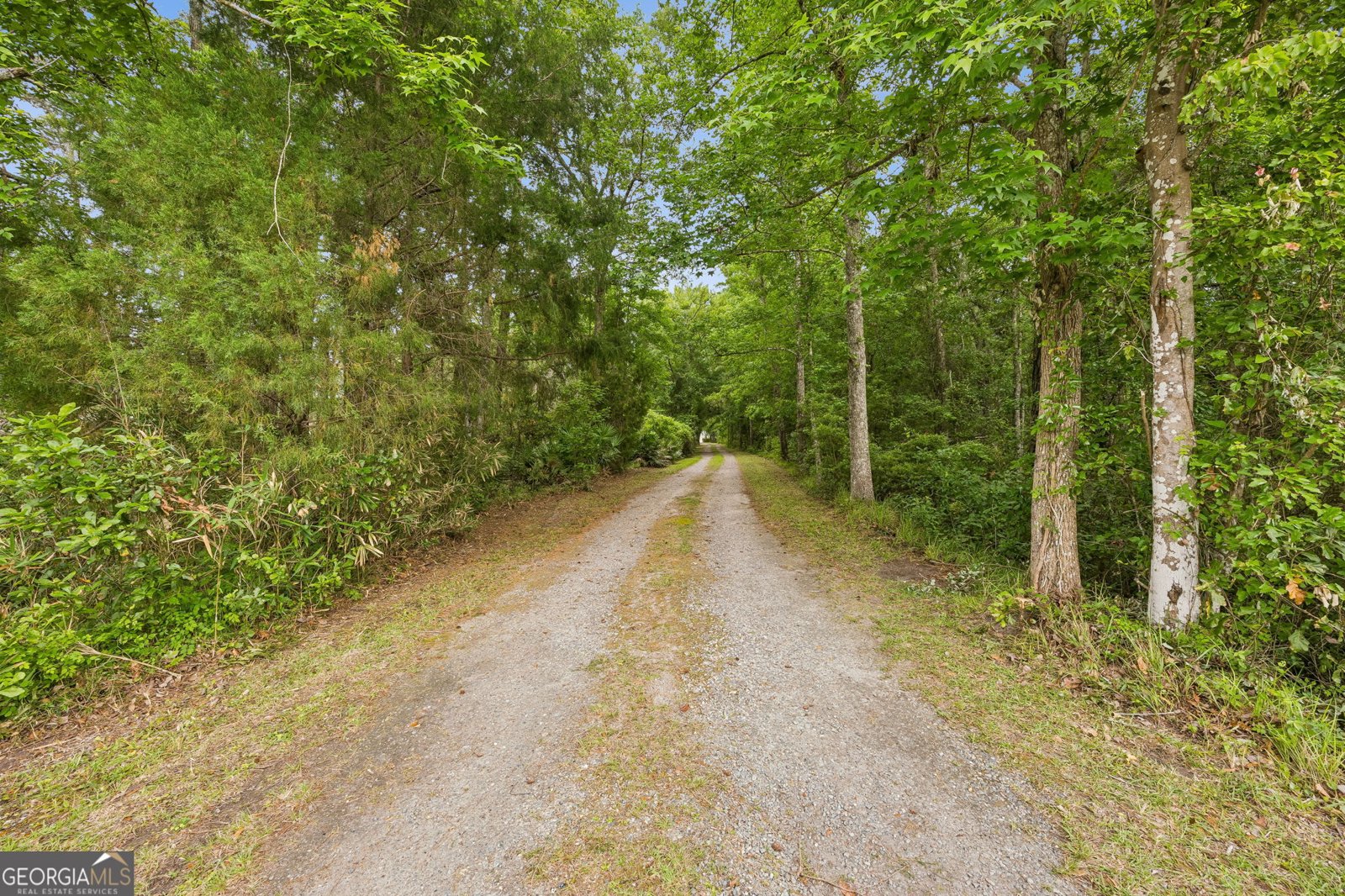 3198 Harrietts Bluff Road Woodbine - Photo 11