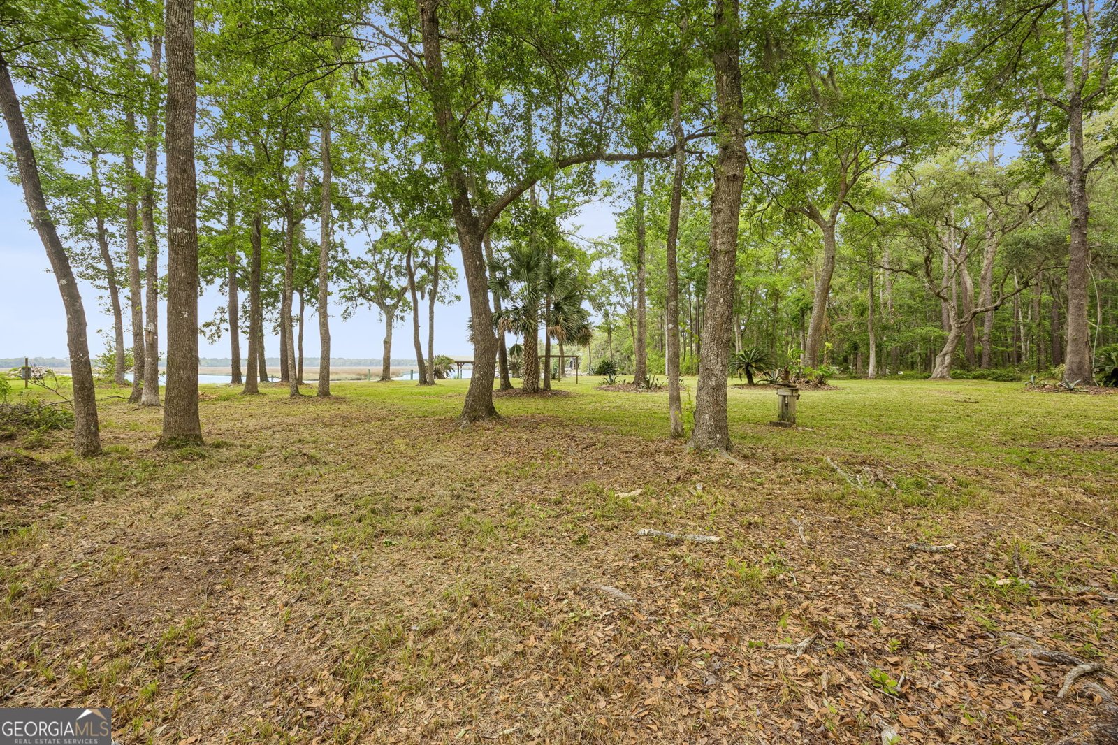 3198 Harrietts Bluff Road Woodbine - Photo 95