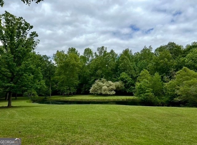 315 Vaughn Road Newnan - Photo 83