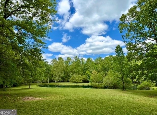 315 Vaughn Road Newnan - Photo 86