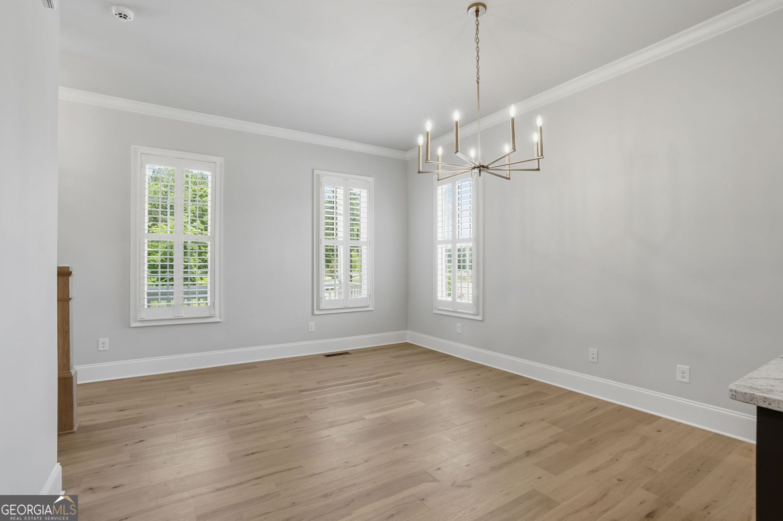 1254 Six Sisters Street Dacula - Photo 72
