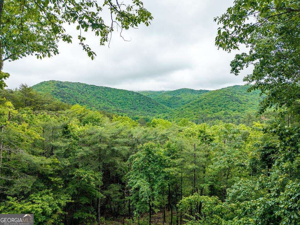 399 Laurel Mountain Road Blue Ridge - Photo 44