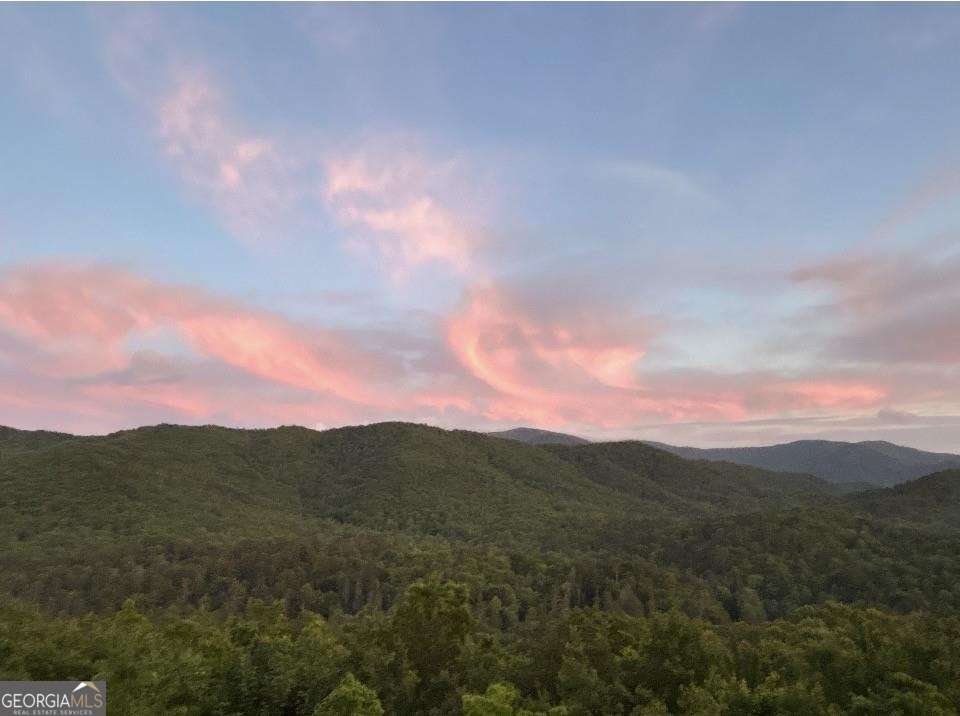 399 Laurel Mountain Road Blue Ridge - Photo 47