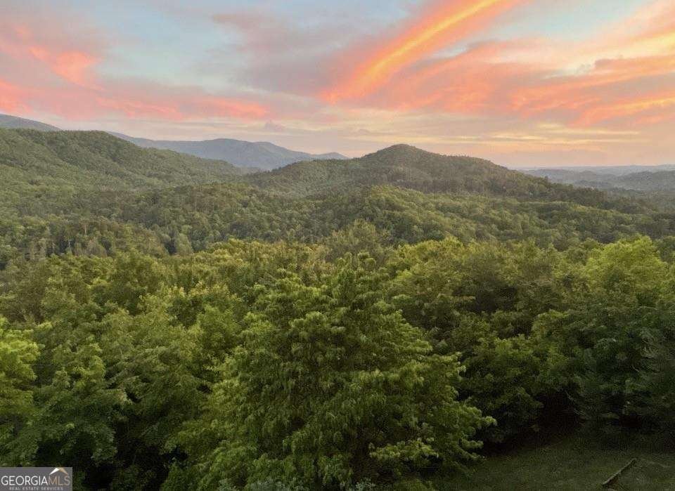 399 Laurel Mountain Road Blue Ridge - Photo 48