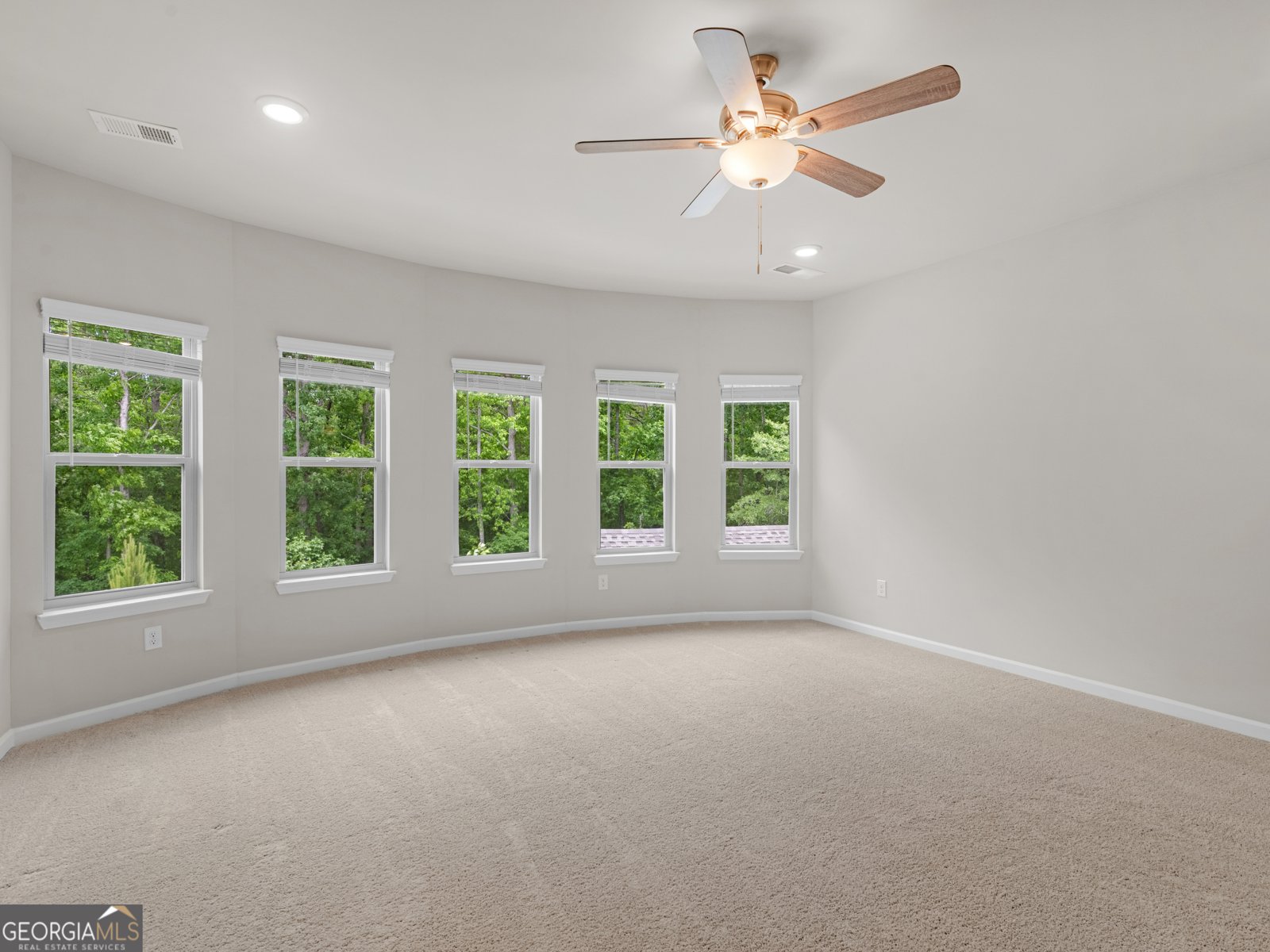 591 Saltbox Lane McDonough - Photo 51