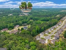 591 Saltbox Lane McDonough - Photo 77