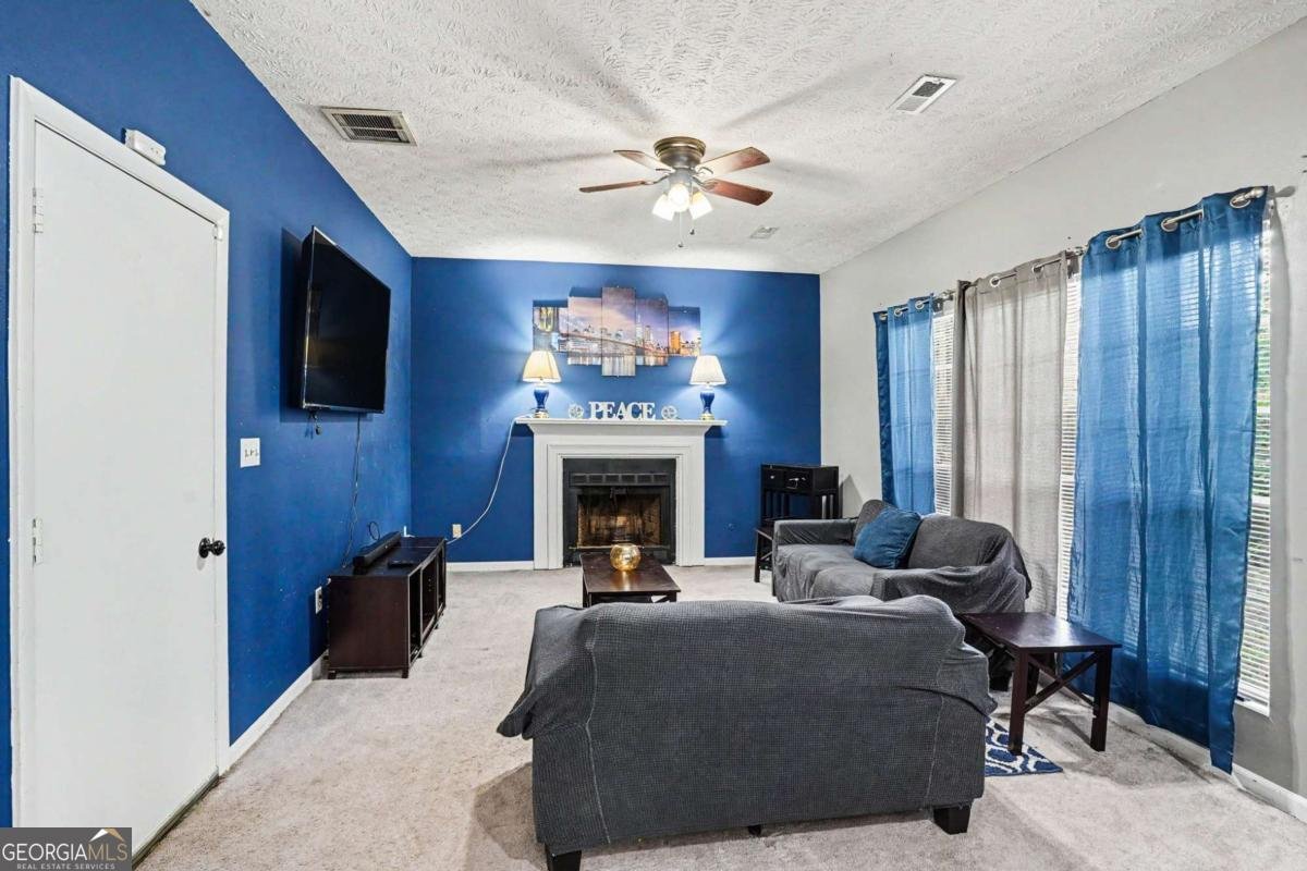 7153 Chestnut Lane Riverdale - Photo 10