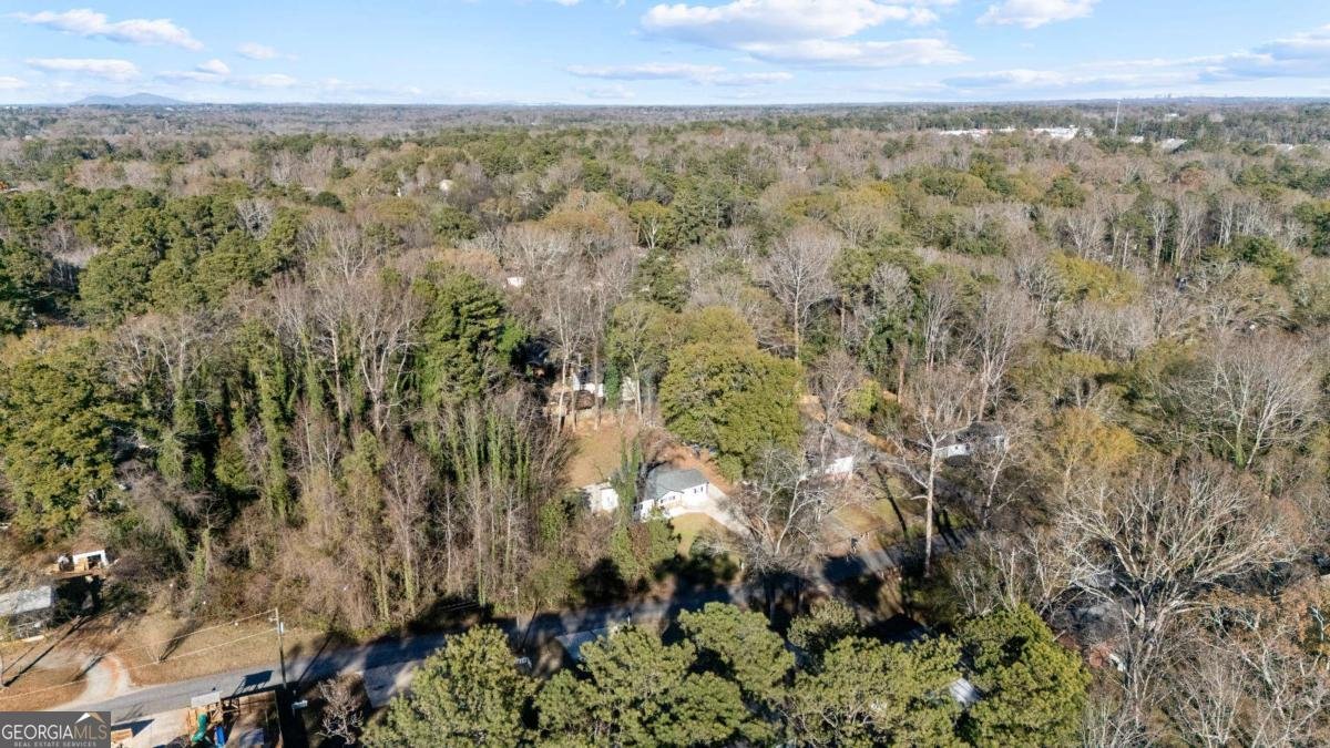 1794 Blossom Lane Austell - Photo 39