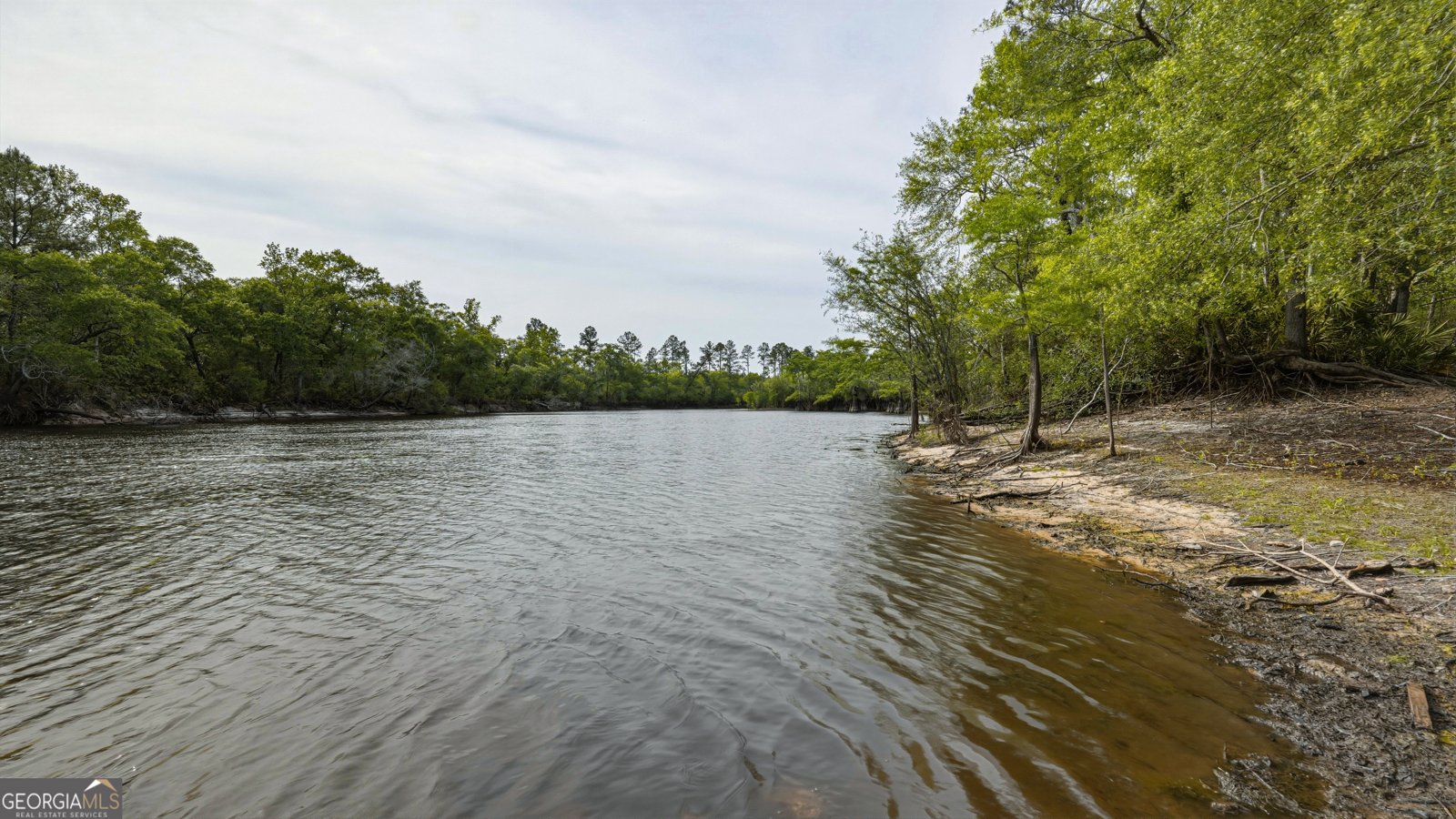 601 Bluff Road White Oak - Photo 20