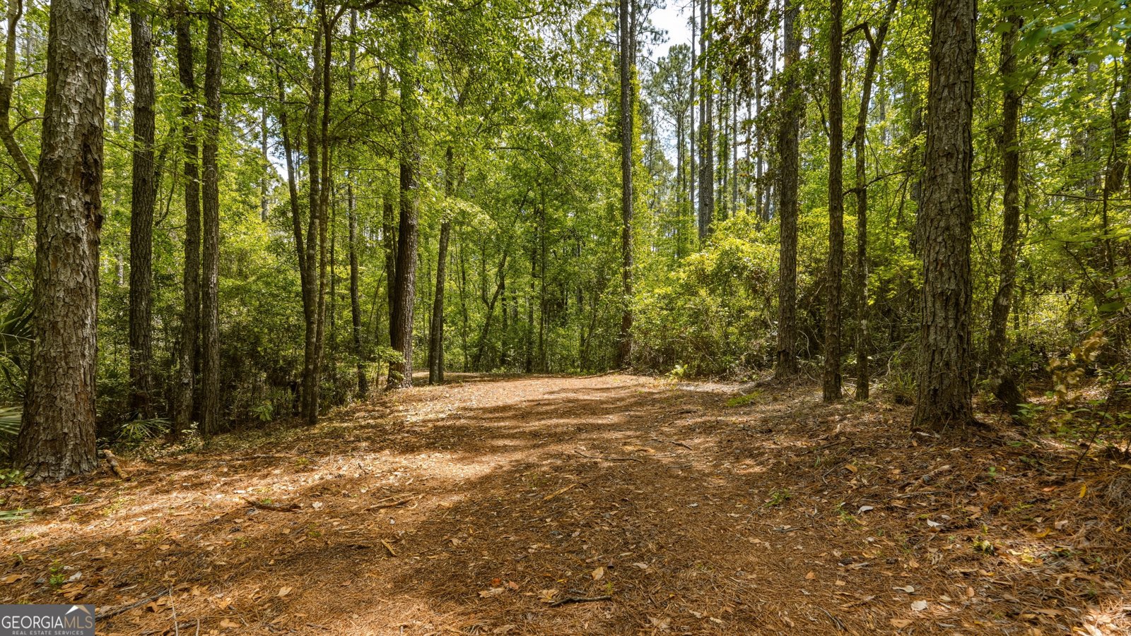 601 Bluff Road White Oak - Photo 47