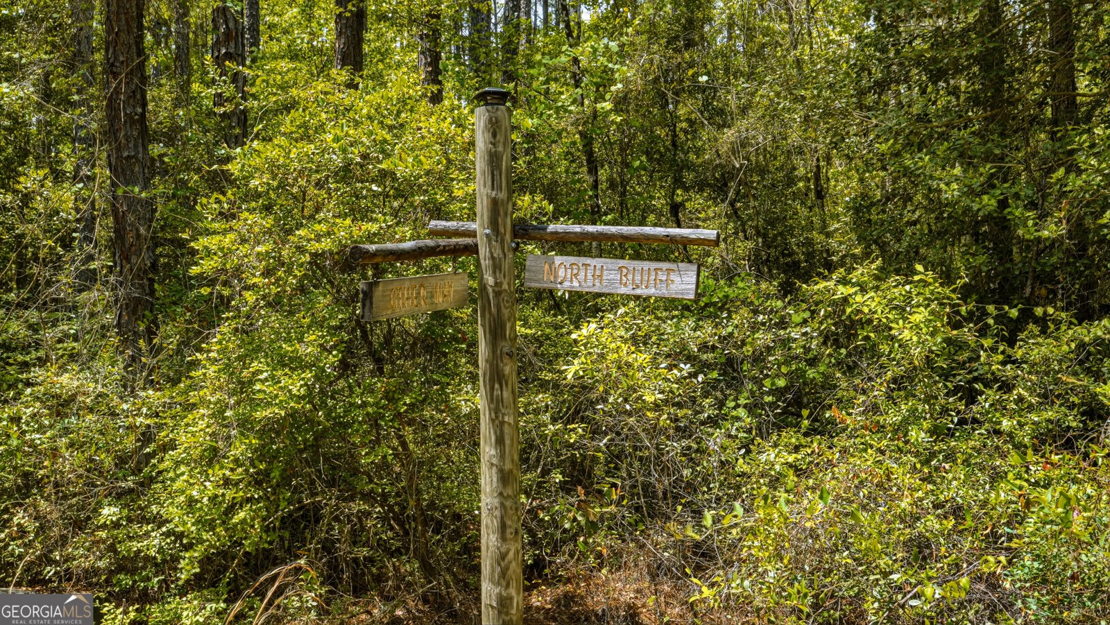 601 Bluff Road White Oak - Photo 56