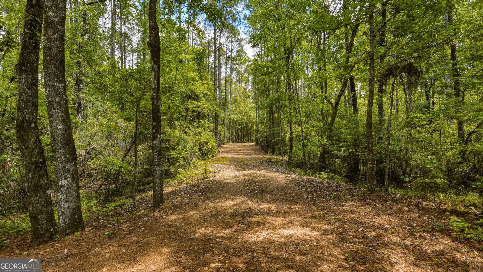 601 Bluff Road White Oak - Photo 60