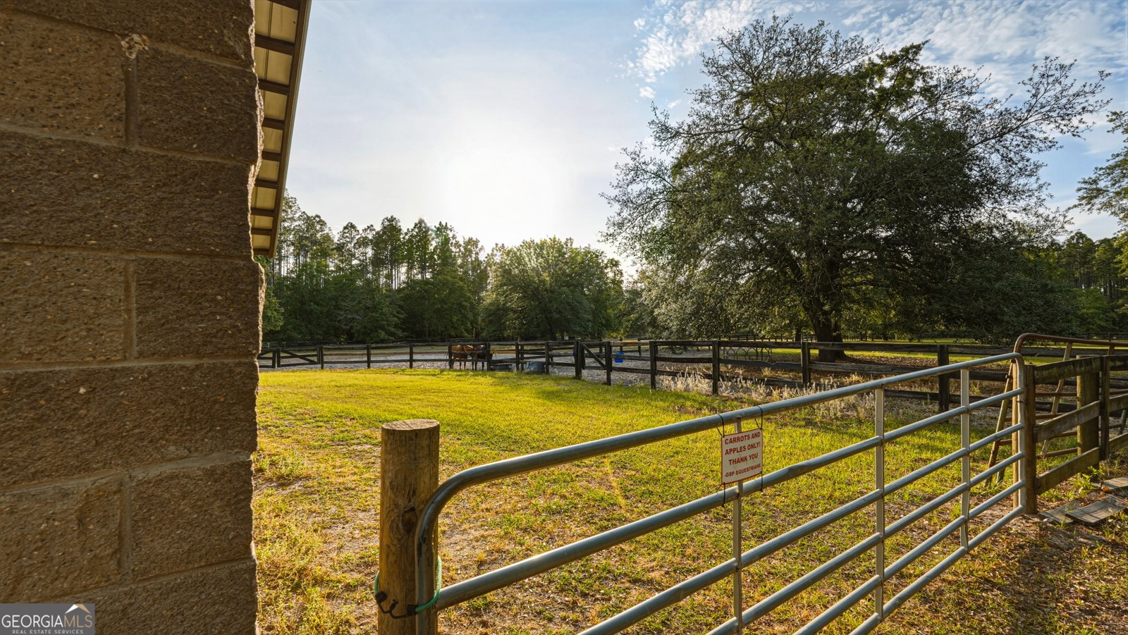 601 Bluff Road White Oak - Photo 92