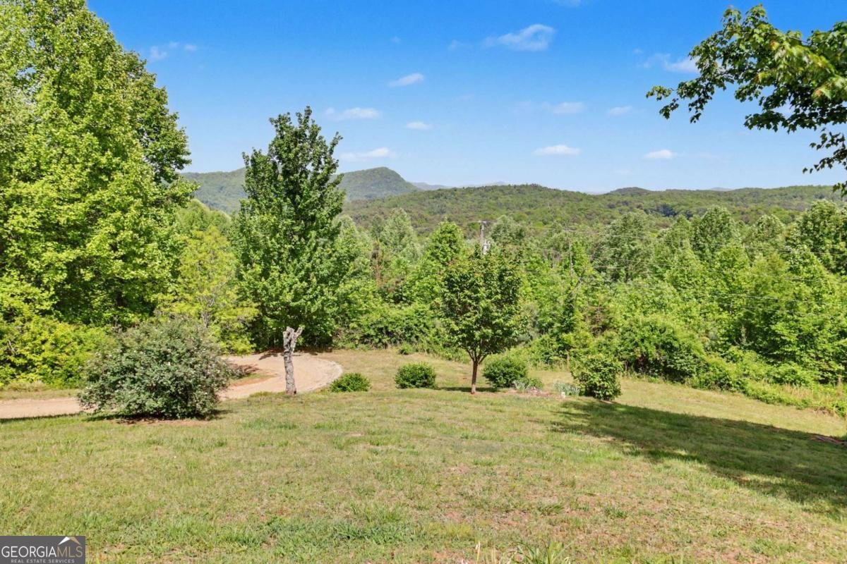 306 Frontier Road Tiger - Photo 39