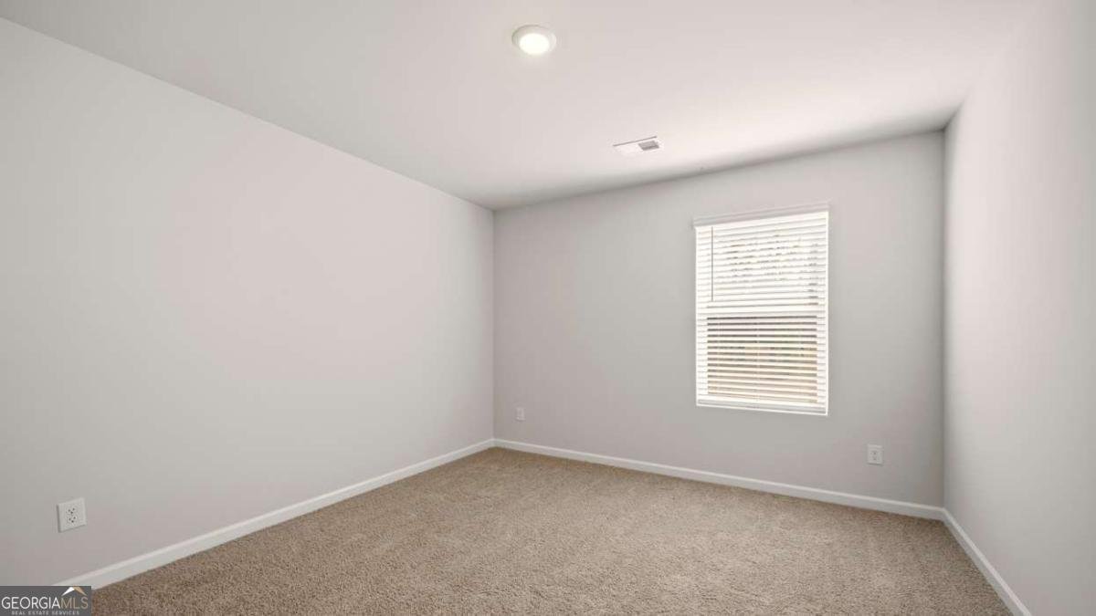 833 Trillium Drive Locust Grove - Photo 19
