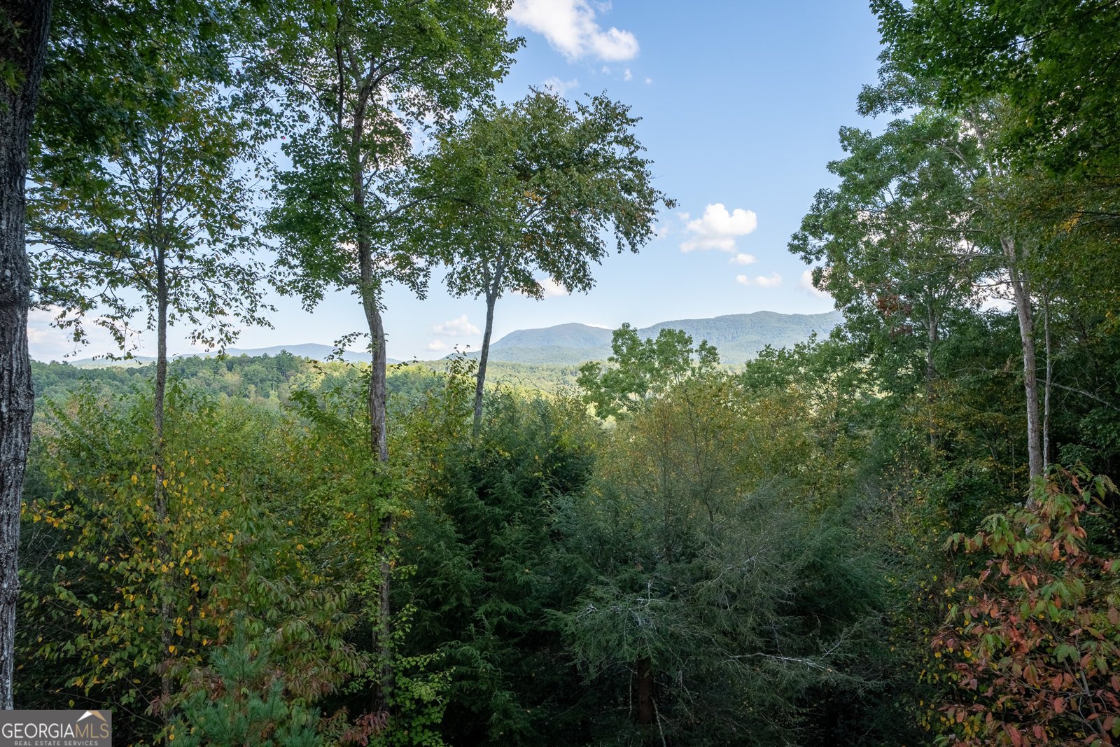 43 Tunica Lane Ellijay - Photo 29