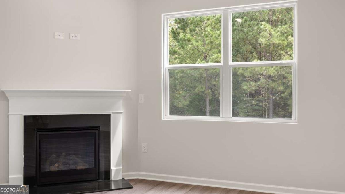 838 Trillium Drive Locust Grove - Photo 9