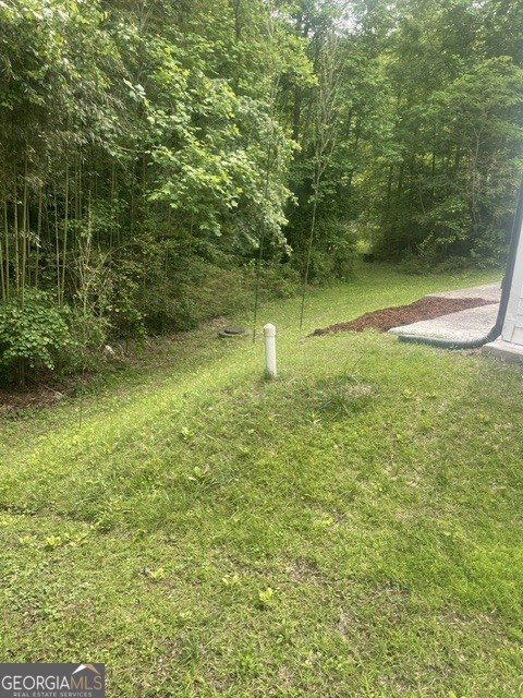 6797 Lombard Court Lithonia - Photo 14