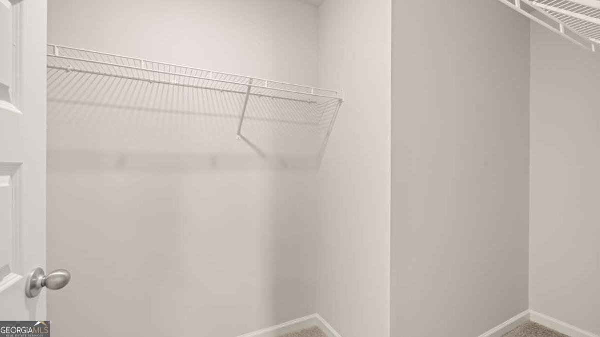 841 Trillium Drive Locust Grove - Photo 19