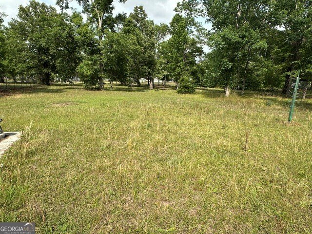 308 Three Rivers Lane Uvalda - Photo 22
